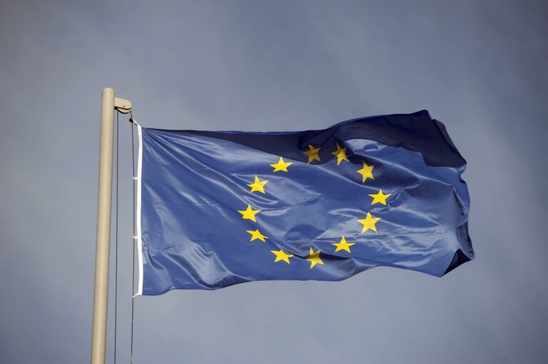 European Integration and EU Institutional Reform 